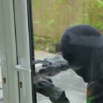 Υποθέσεις κλοπών σε Ηγουμενίτσα και Ιωάννινα