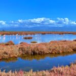 Τελικός αποδέκτης του μολυσματικού φορτίου ο Αμβρακικός