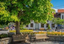 Έντονη διαμαρτυρία από Δήμο Βορ. Τζουμέρκων για ανακατανομή έκτακτης καταβολής ΚΑΠ