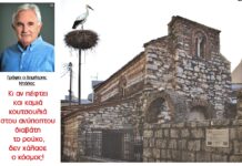 Ο πελαργός του Αϊ Βασίλη