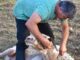 Των φρονίμων τα παιδιά… για αποφυγή από τις ζωονόσους