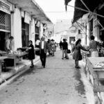 Προς δημοπρασία τα Ψαροπλιά