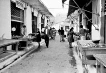 Προς δημοπρασία τα Ψαροπλιά