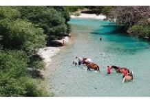 Διεθνές ενδιαφέρον για ποταμό Αχέροντα Δήμου Σουλίου