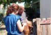Ενημέρωση Δήμου Αρταίων για τα ζώα συντροφιάς