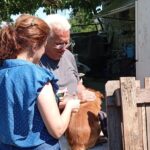 Ενημέρωση Δήμου Αρταίων για τα ζώα συντροφιάς