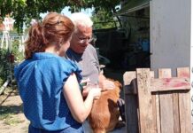 Ενημέρωση Δήμου Αρταίων για τα ζώα συντροφιάς