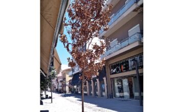 «Αφήστε τα να ξεραθούν»!