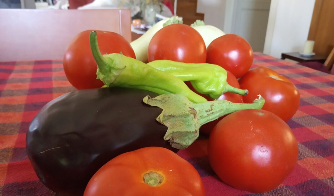 ntomates tatshs