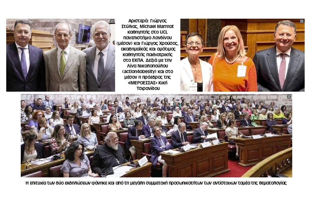 stylios vouli