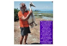 Βασίλης Δράκος. Ένας απρόσμενος επισκέπτης