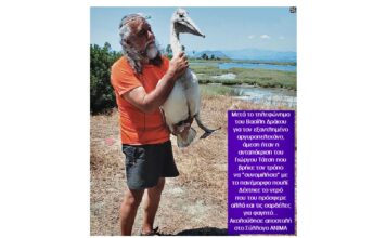 Βασίλης Δράκος. Ένας απρόσμενος επισκέπτης