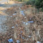 Δρόμοι σκουπιδότοποι
