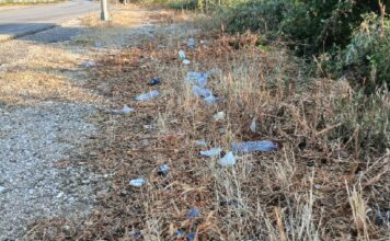Δρόμοι σκουπιδότοποι