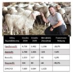 Χάνεται η κτηνοτροφία στην Ήπειρο