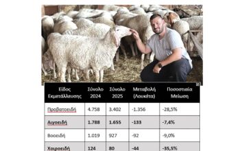 Χάνεται η κτηνοτροφία στην Ήπειρο