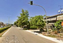 Θυσιάζουν επτά δέντρα για τον κόμβο Φιλοθέης