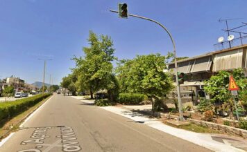 Θυσιάζουν επτά δέντρα για τον κόμβο Φιλοθέης